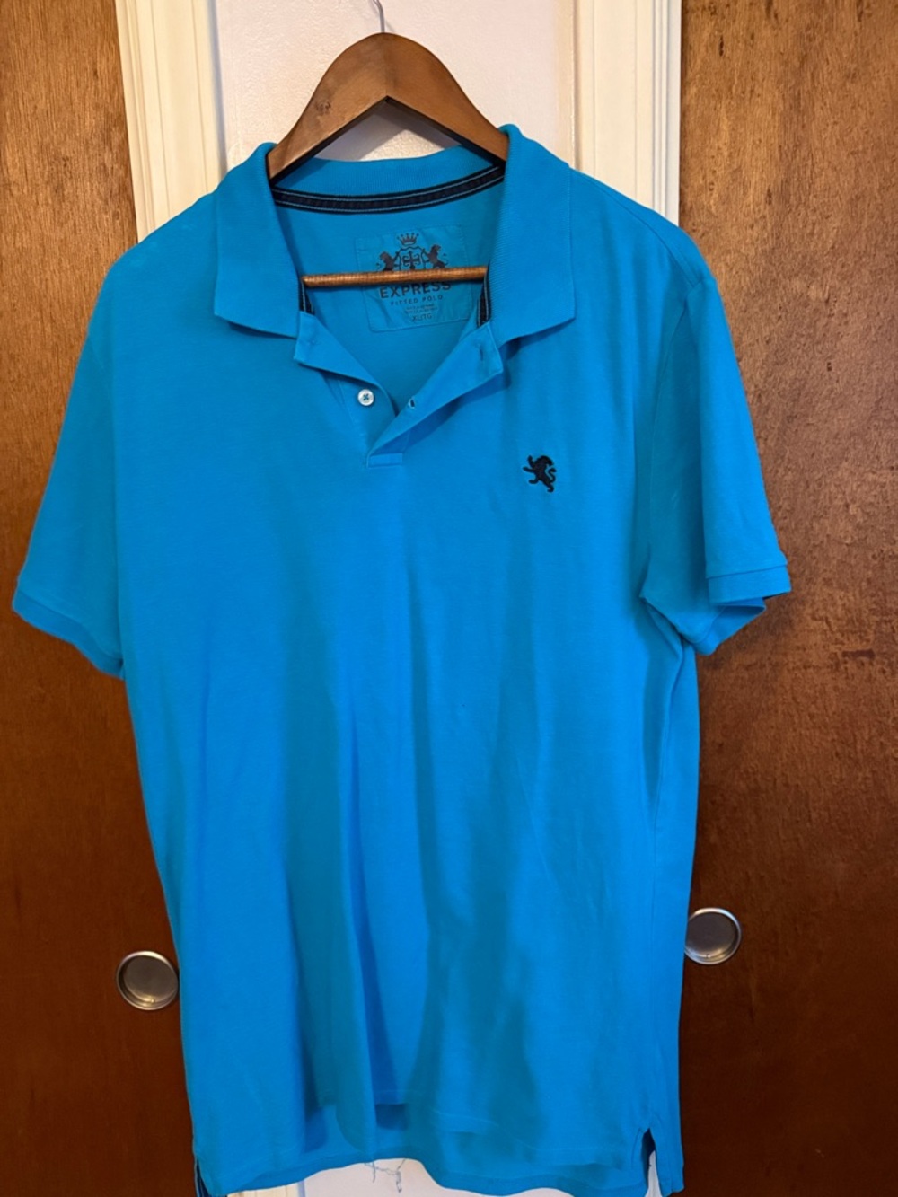 Express Men’s Polo Shirt - Bright Turquoise